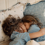 27e1217d8fe2ef4bf057eb7f8f0b843d