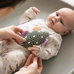 c305d978508700d43e544ecfa8e00b51