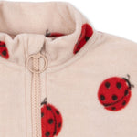 713f6df969502bd0f58ea331e5d0ab12