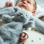 2c09c0b5a652661ff100964cf8949ff2