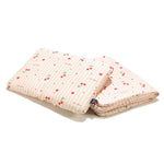 e2e055b414f303b12d0f0e7249b742b3