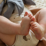 Immagine diapositiva