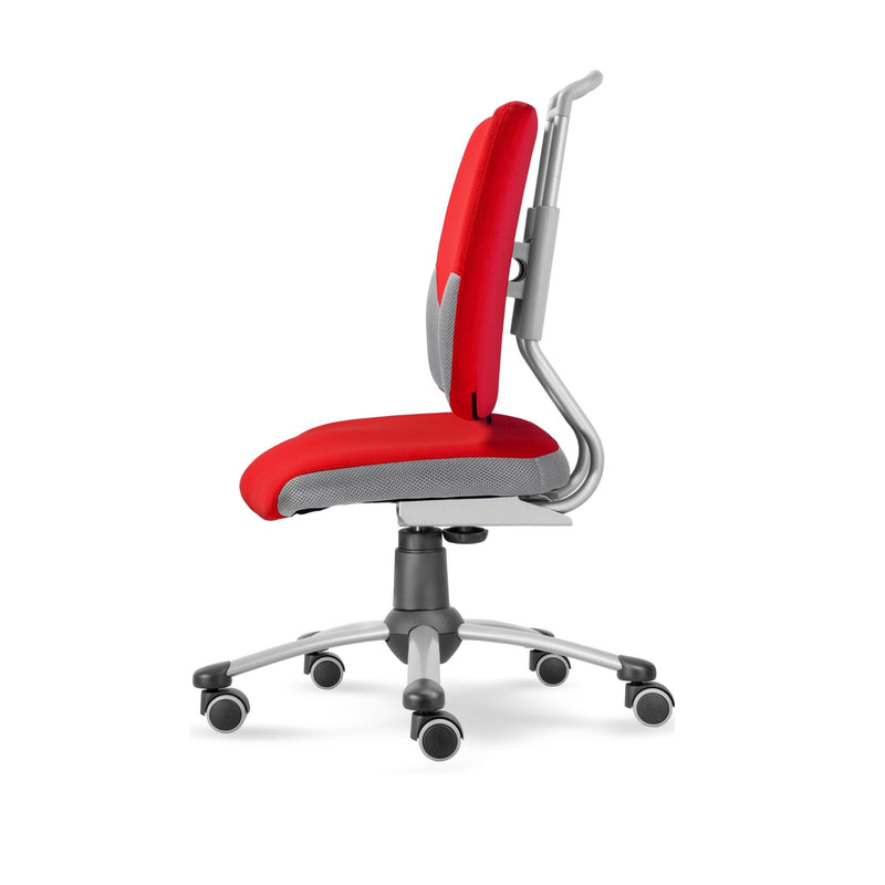 Immagine diapositiva