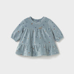 Immagine diapositiva