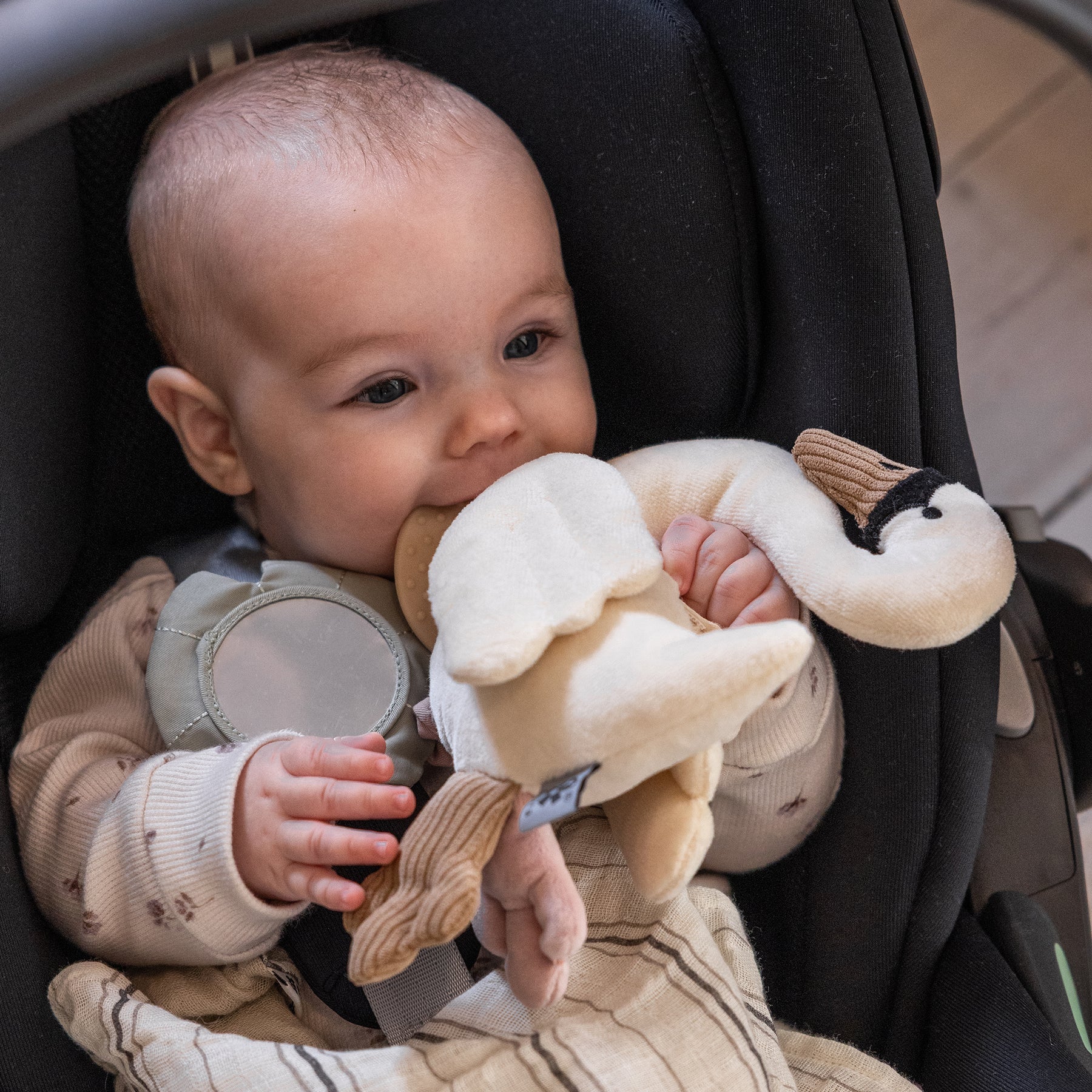 cada8044d1ad9b8cae2c5228d68cf308