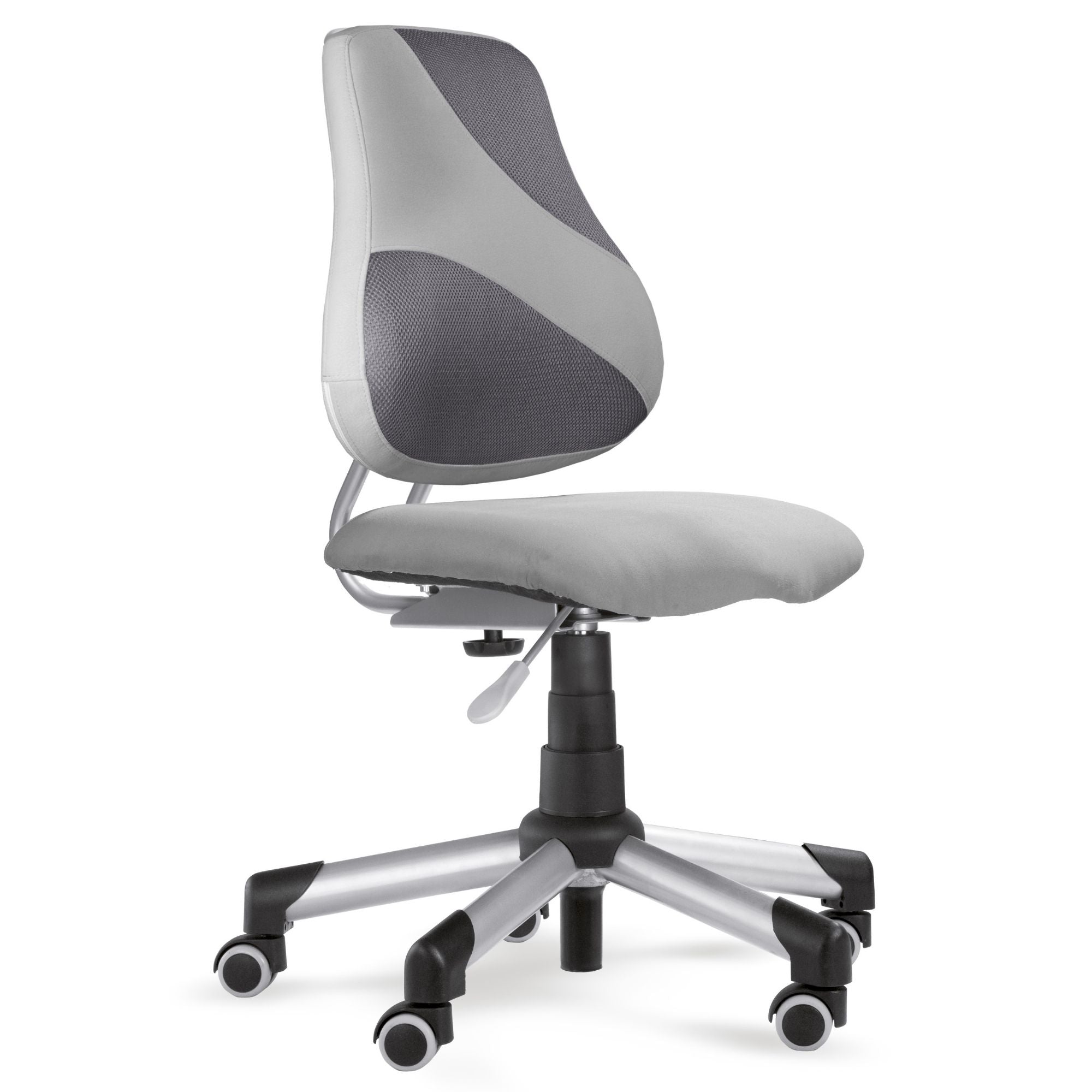 Immagine diapositiva