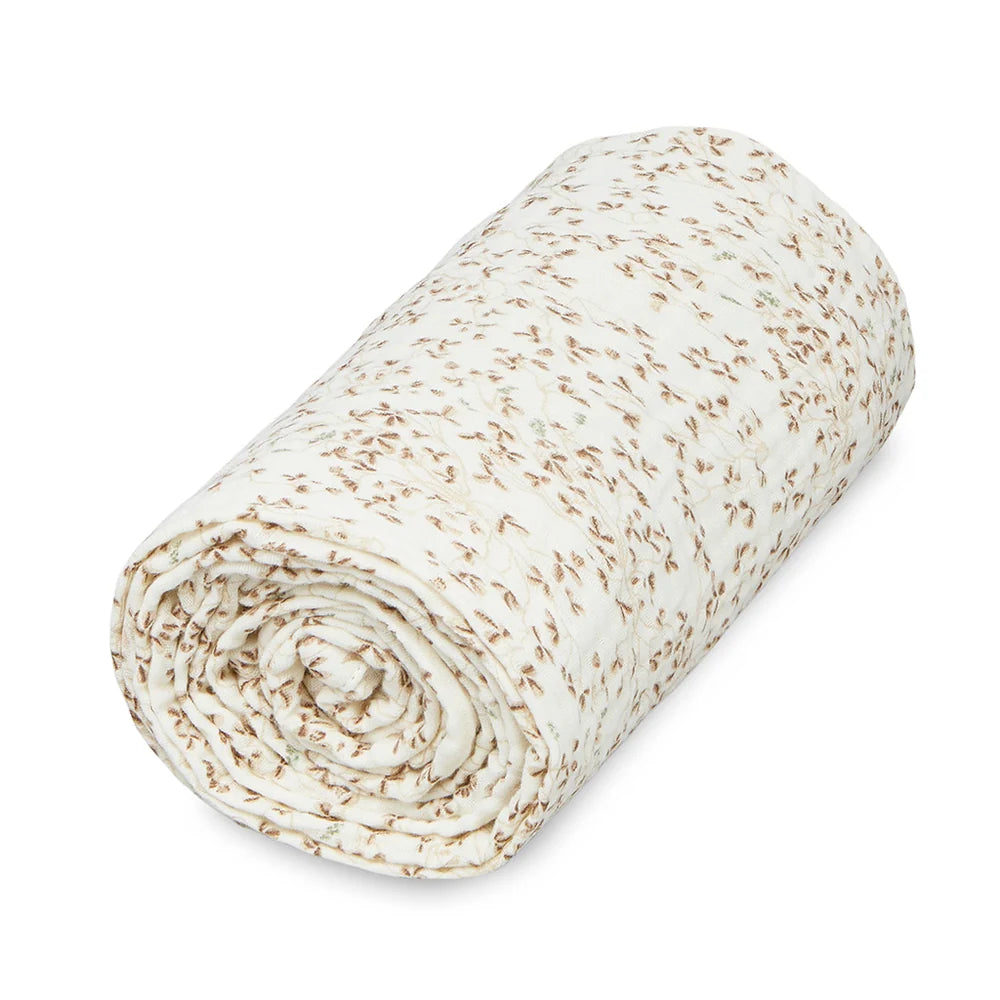 Immagine diapositiva