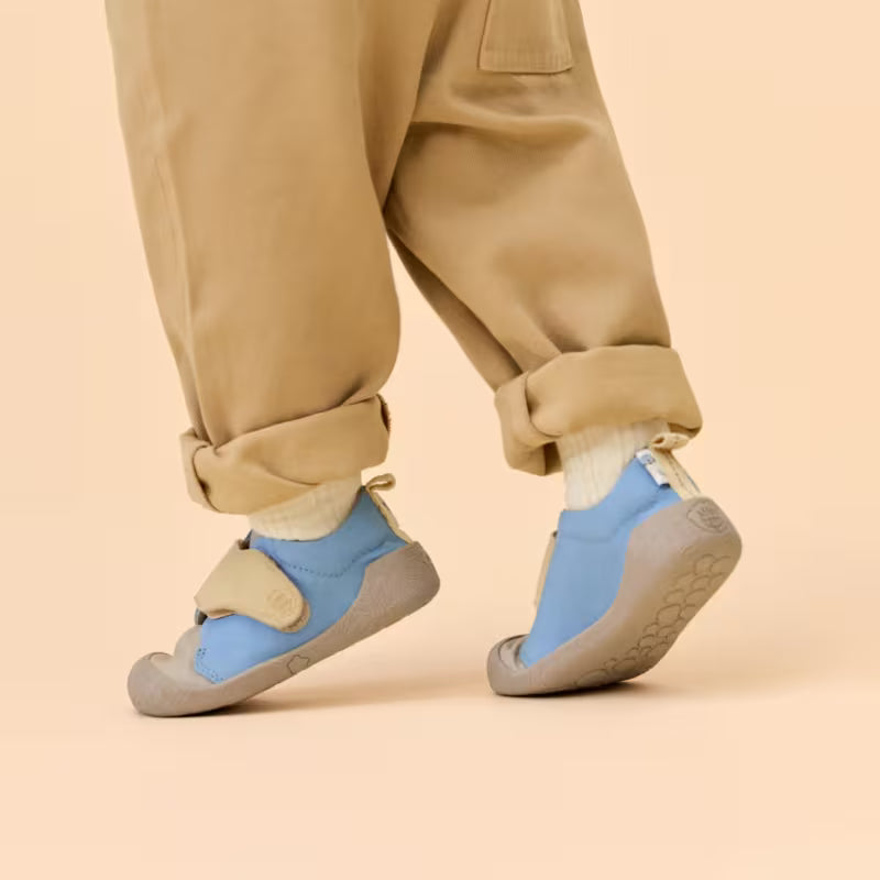 41288feb01f36a9ed31e7957b1512e1a