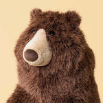 Immagine diapositiva