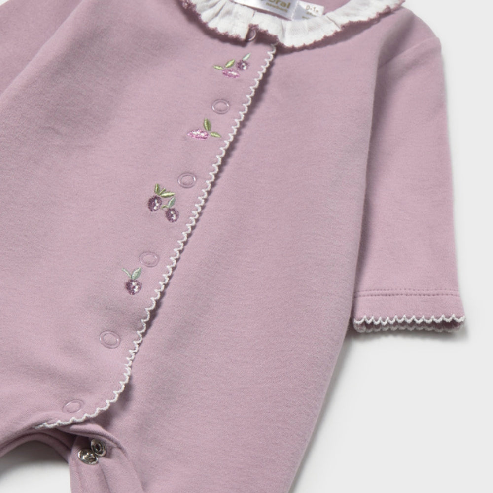 Immagine diapositiva