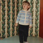 Immagine diapositiva