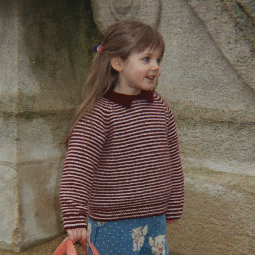 Immagine diapositiva