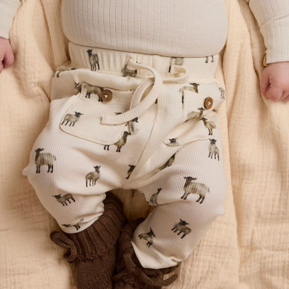 Immagine diapositiva