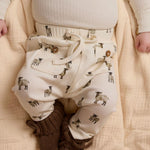 Immagine diapositiva