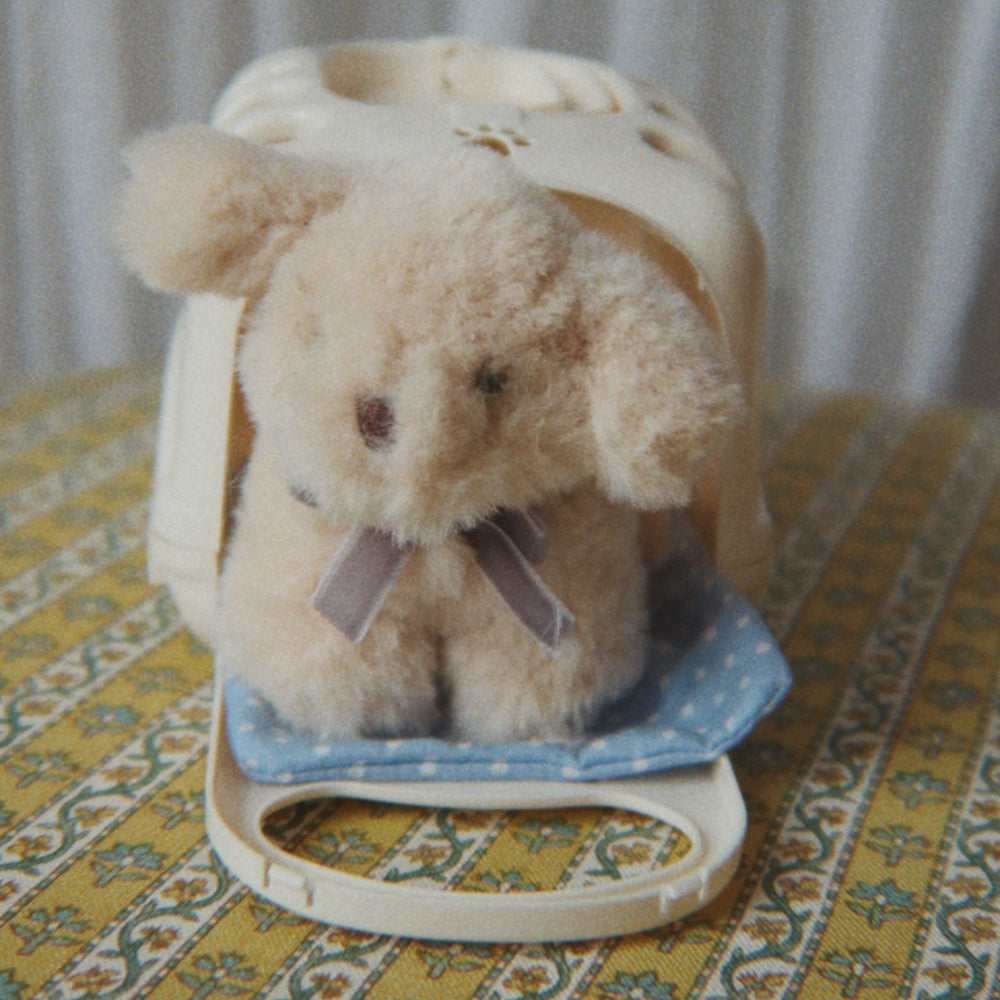 Immagine diapositiva