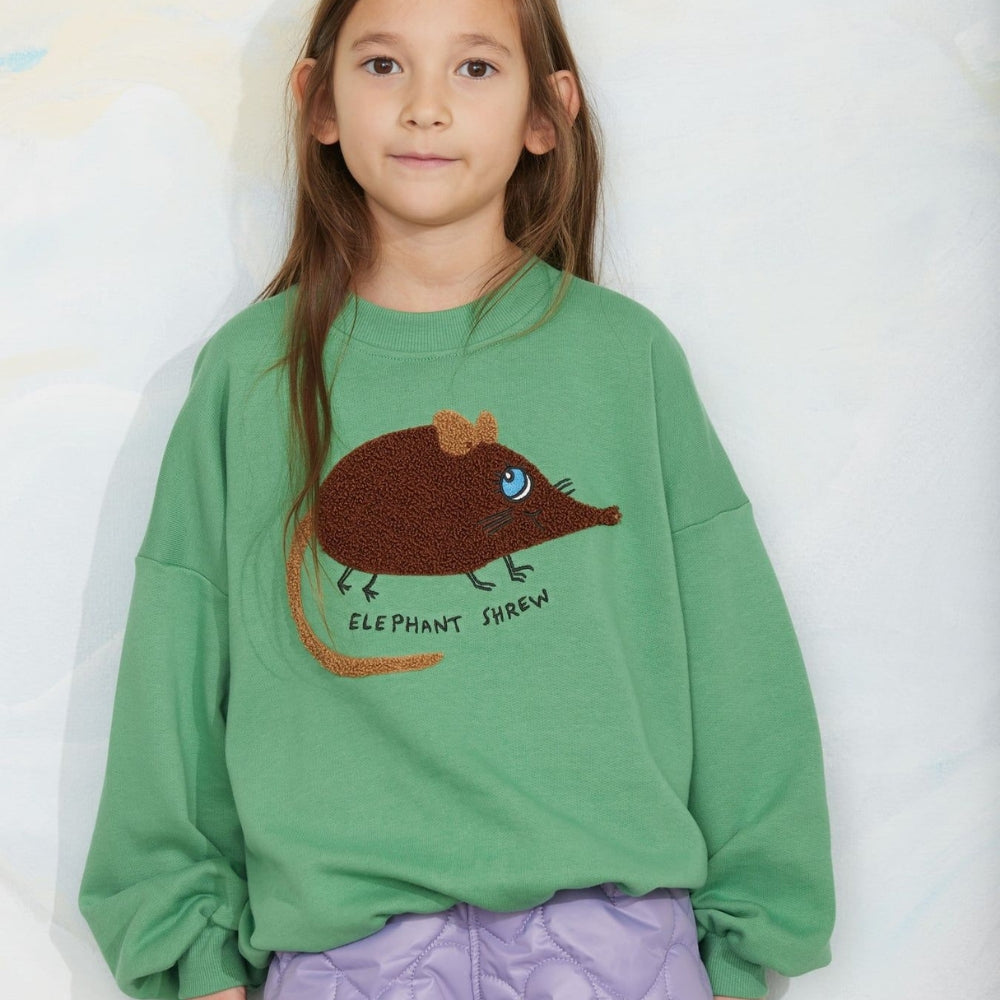 Immagine diapositiva