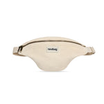 Immagine diapositiva