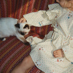 08069ee4458398be043bd4ecc11e3736