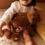 Immagine diapositiva