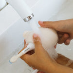 Immagine diapositiva