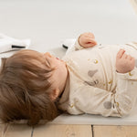 Immagine diapositiva