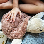 Immagine diapositiva