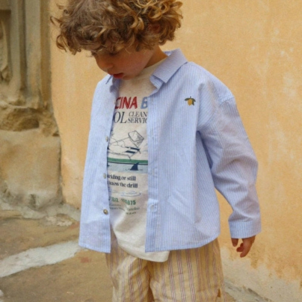 Immagine diapositiva