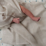 Immagine diapositiva
