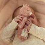 Immagine diapositiva