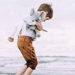 Immagine diapositiva