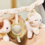 b1100c0f41b4b1d9c83785228a9b23eb