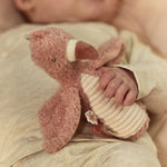 Immagine diapositiva
