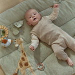 Immagine diapositiva