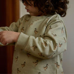 Immagine diapositiva