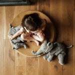 Immagine diapositiva