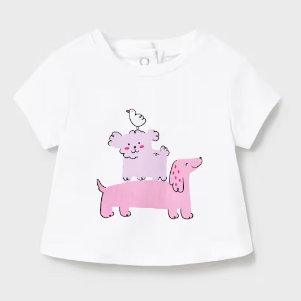 86d2e901e452384f42e40961ae7ce86b