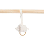 ae3d4938c529e6ce69f77c7dae3dbaca