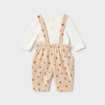 Immagine diapositiva