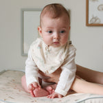 Immagine diapositiva