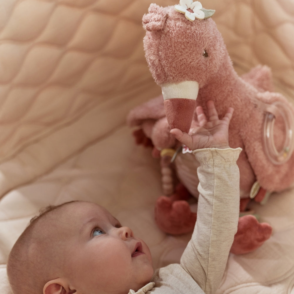 Immagine diapositiva