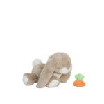 Immagine diapositiva