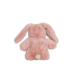 Immagine diapositiva