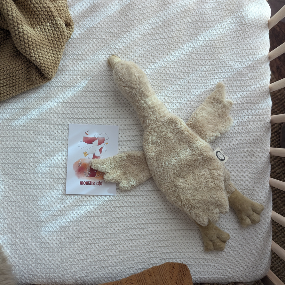 15b2f443cc8e8f7cb01c7a2472b6a3ae