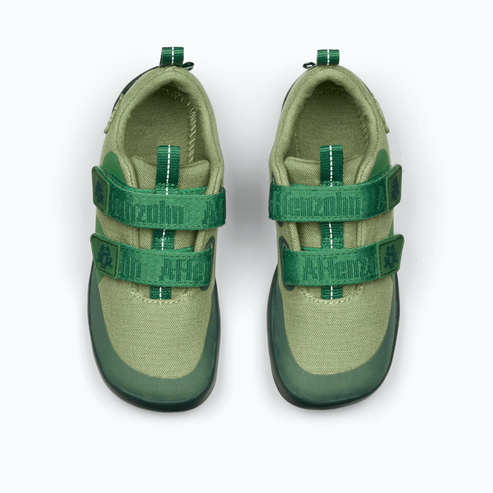 50e334455a50512cf14b9209479d5425