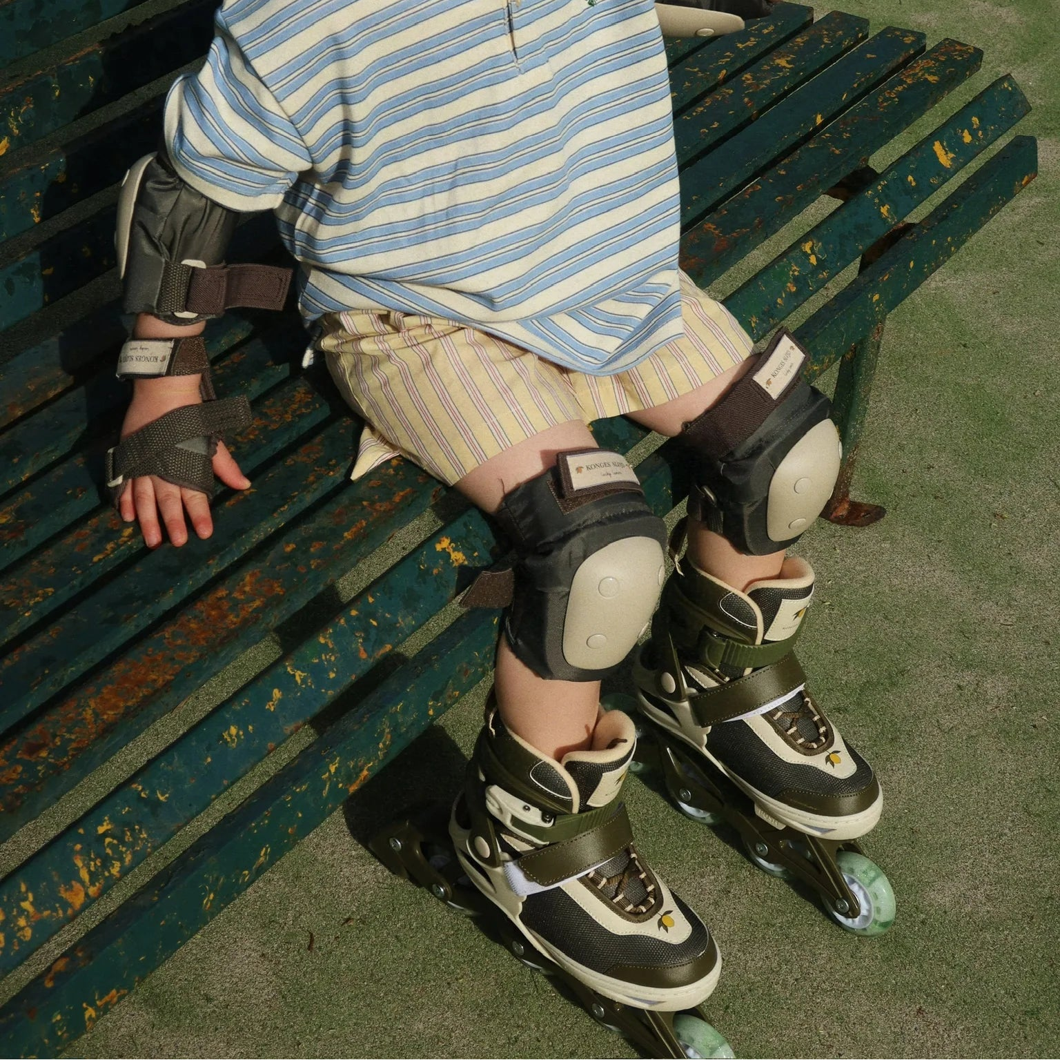 Immagine diapositiva