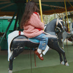 Immagine diapositiva