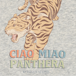 Immagine diapositiva