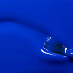 Immagine diapositiva