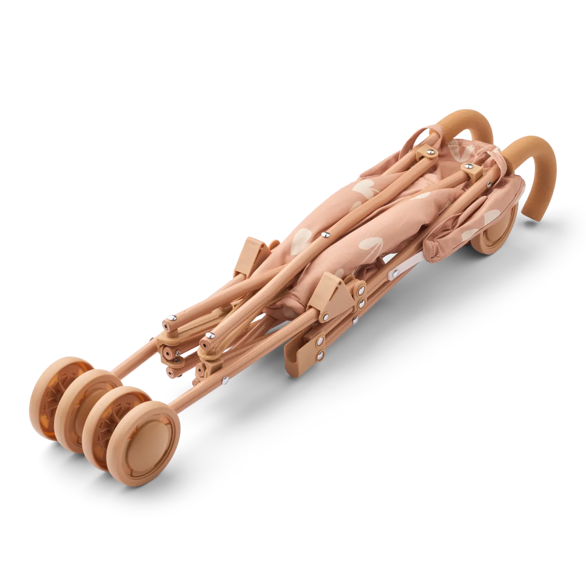 Immagine diapositiva