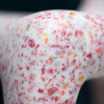 Immagine diapositiva